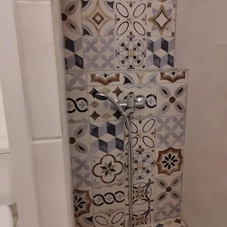 Les Citronniers Et Les Mimosas