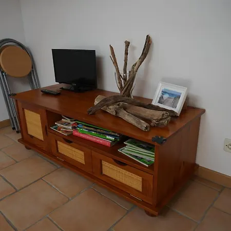 Les Citronniers Et Les Mimosas