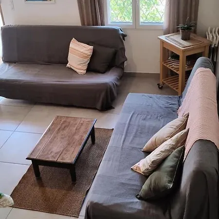 Les Citronniers Et Les Mimosas