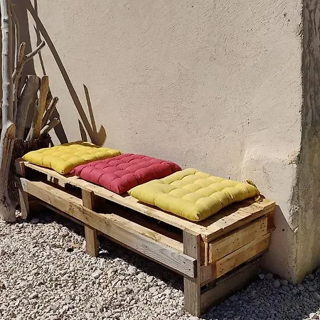 Les Citronniers Et Les Mimosas *