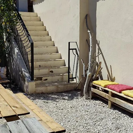 Les Citronniers Et Les Mimosas Hyères