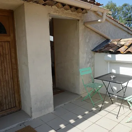 Les Citronniers Et Les Mimosas *