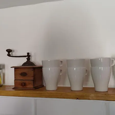 Appartement Les Citronniers Et Les Mimosas Hyères