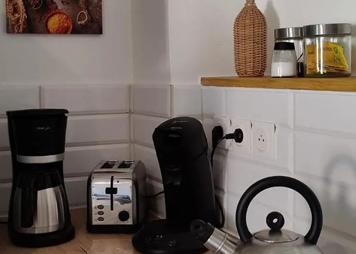 Les Citronniers Et Les Mimosas