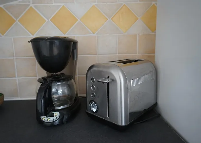 Les Citronniers Et Les Mimosas * Hyères