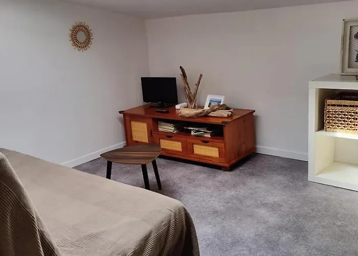 Les Citronniers Et Les Mimosas Apartman Hyères