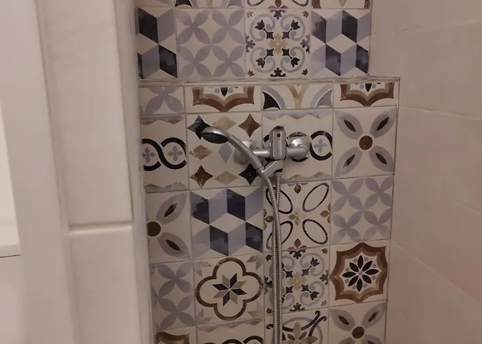 Les Citronniers Et Les Mimosas