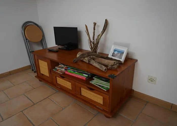 Les Citronniers Et Les Mimosas