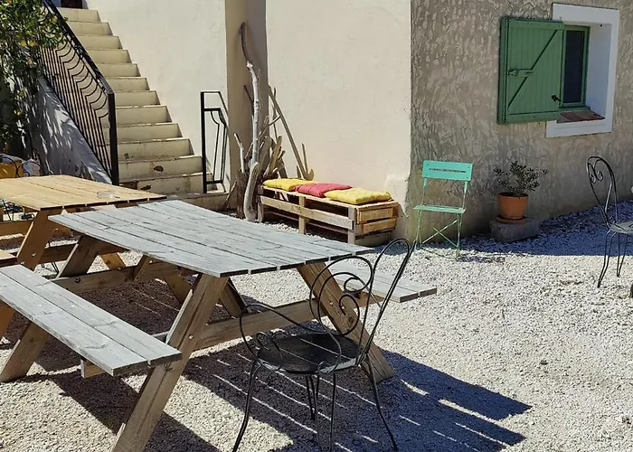 Les Citronniers Et Les Mimosas * Hyères