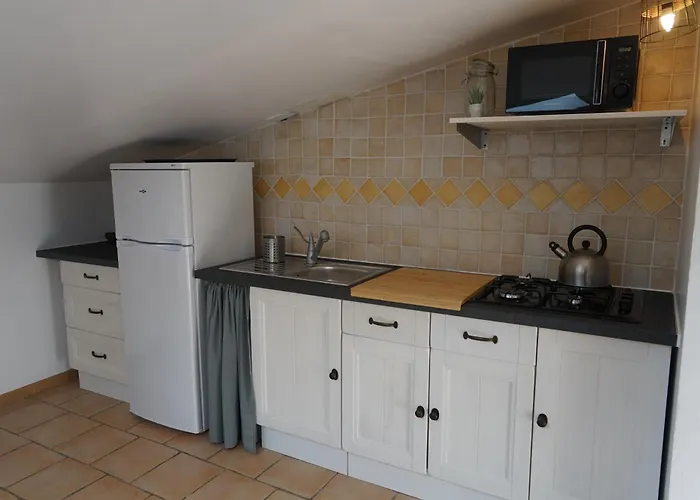 Les Citronniers Et Les Mimosas Hyères