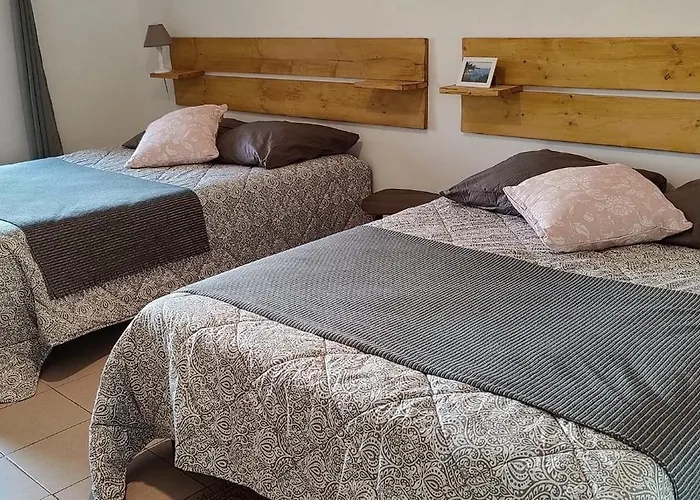 Les Citronniers Et Les Mimosas