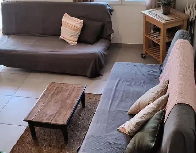 Les Citronniers Et Les Mimosas