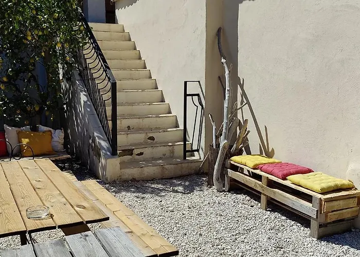 Les Citronniers Et Les Mimosas Hyères