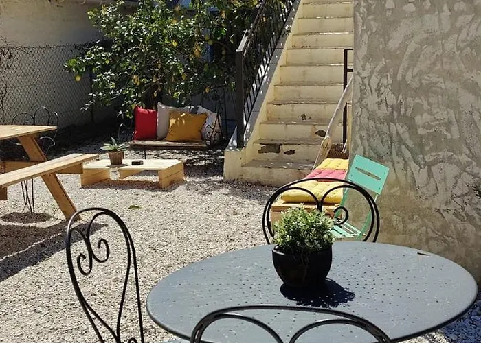 Les Citronniers Et Les Mimosas