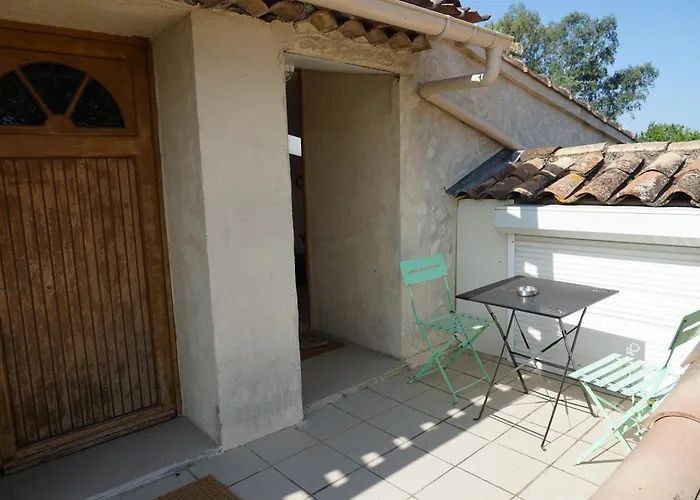 Les Citronniers Et Les Mimosas *