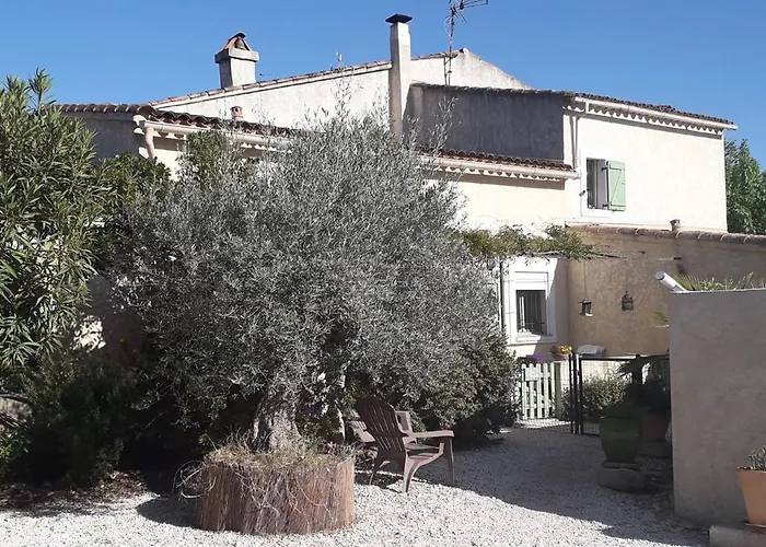 Les Citronniers Et Les Mimosas *