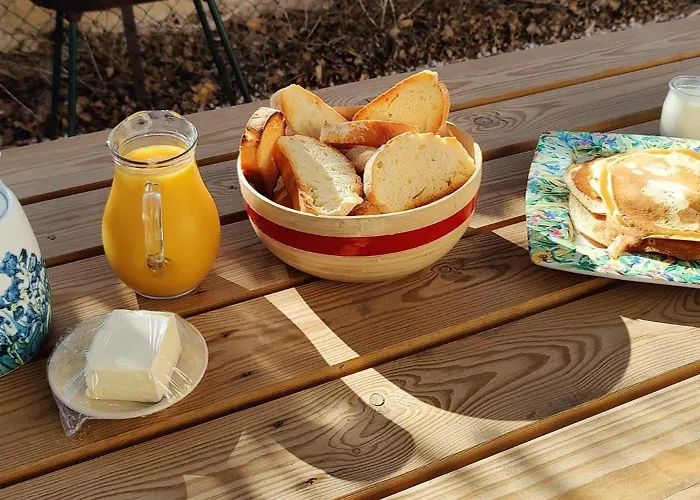 Les Citronniers Et Les Mimosas Hyères