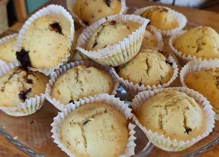 Apartman Les Citronniers Et Les Mimosas